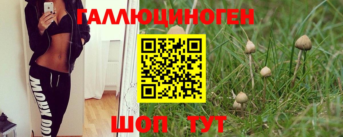 Галлюциногенные грибы Cubensis Хасавюрт
